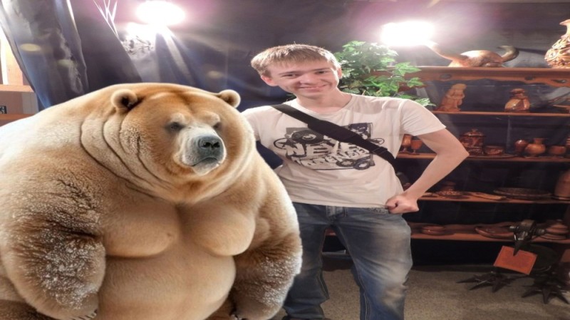 Create meme: fat bear, the fattest bear, fat animals 