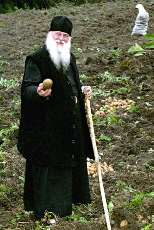 Create meme: Father George Timmer in Kronstadt, Archimandrite George Savva, timashevsky monastery elder father george