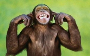 Create meme: chimp smiles, monkey, monkeys