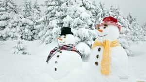 Создать мем: погода на выходные, winter, snowman