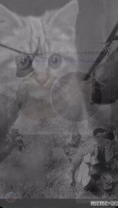 Create meme: Vietnam flashback cat, flashbacks, cat flashbacks