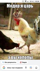 Create meme: cock king, chicken, rooster