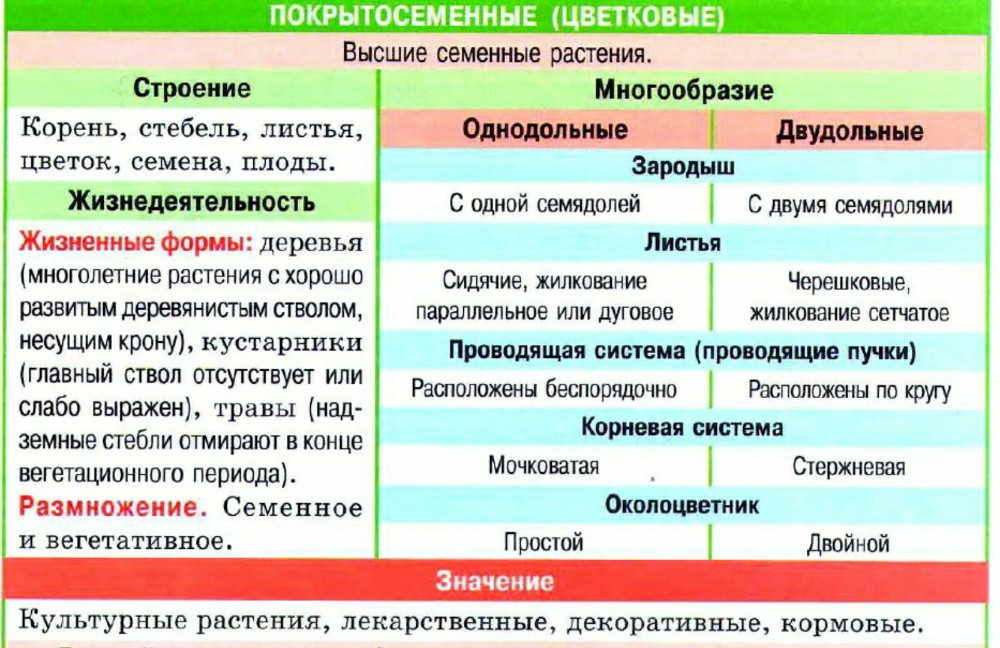 Признаки классов отделов покрытосеменные