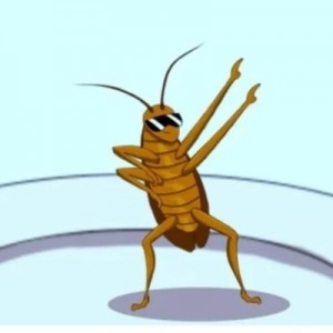 Create meme: funny cockroach, cockroach