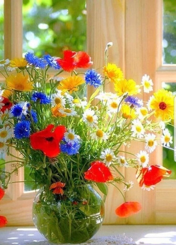 Create meme: summer flowers , wild flowers , good morning wildflowers