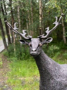 Create meme: forest deer, deer elk, deer maral