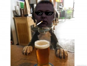 Create meme: funny animals, beer day, beer