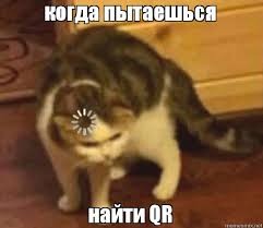 Create meme: cat, meme cat, meme cat download