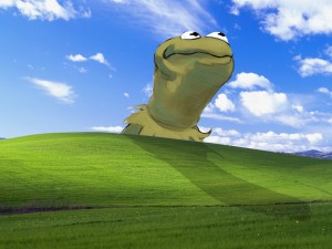 Create meme: Windows XP, pictures on the desktop vindovs xp, windows xp HD Wallpapers 1920x1080