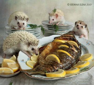 Create meme: animals hedgehog, Elena Eremina hedgehogs 2018, hedgehog