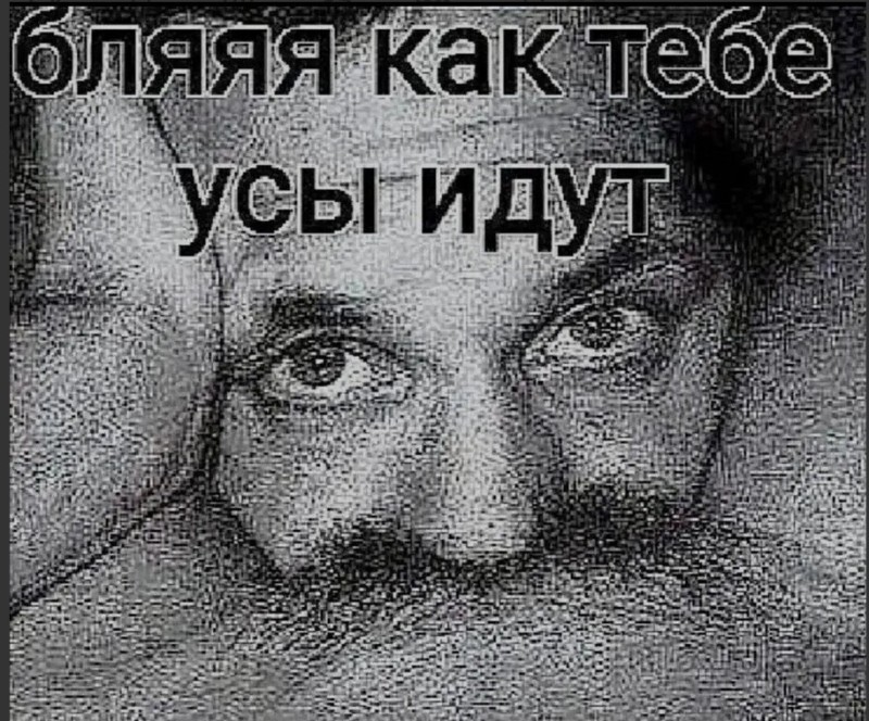 Create meme: Chapaev funny moustache, whose mustache, wear a mustache 