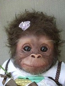 Создать мем: good morning обезьяна, обезьяна, маленькие обезьянки