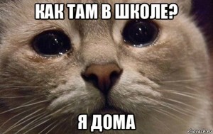Создать мем: грустный котик, плачущий кот мем, грустит один котик