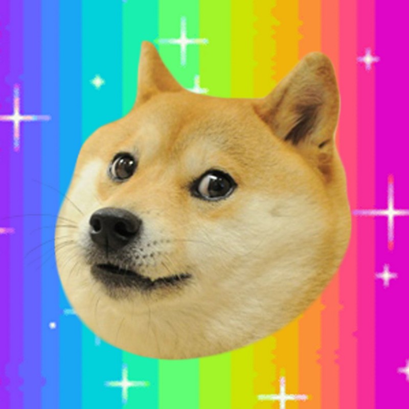 Create meme: shiba inu, dog meme , shiba inu doge