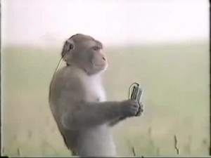 Create meme: people, monkey, animal