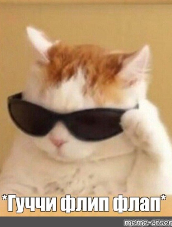 Create meme: cats , cute cats , pixel the cat in glasses meme