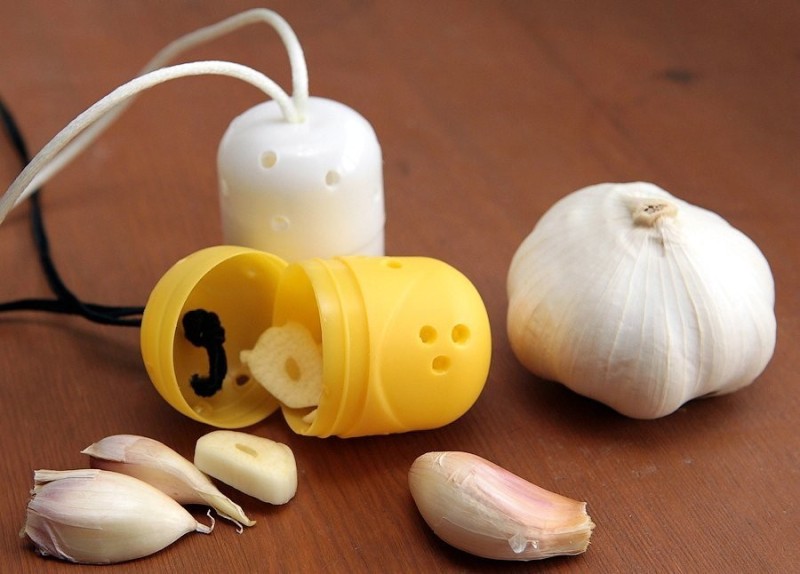 Create meme: kinder with garlic, garlic in a kinder egg, from kinder with garlic