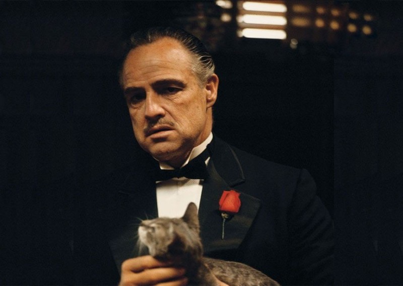 Create meme: Marlon Brando the godfather, don Corleone , michael corleone