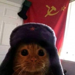 Create meme: cat, comrade