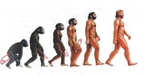 Create meme: evolution APE to man, the theory of evolution, human evolution