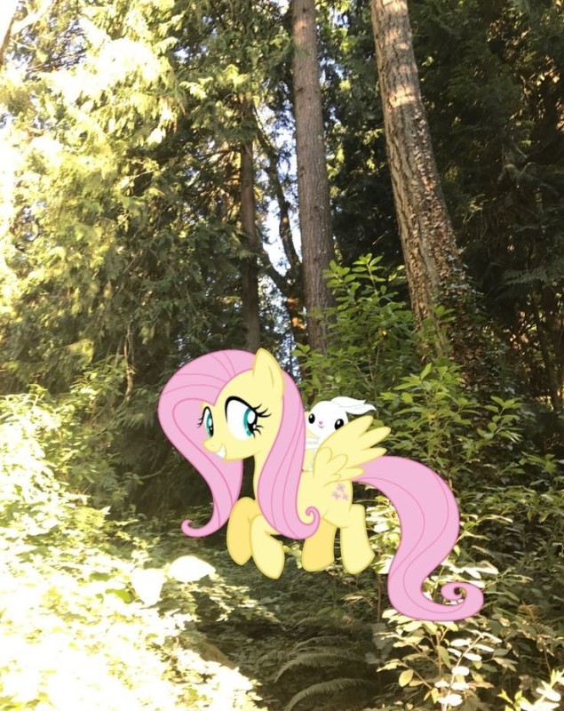 Create meme: my little pony fluttershy , fluttershy , fluttershy 