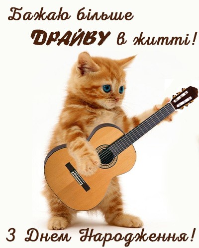 Create meme: a cat with a guitar, cat with guitar, happy holiday pasha happy birthday