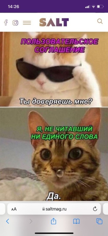 Создать мем: кот смешной, мемы без текста с котом, мемы с котами