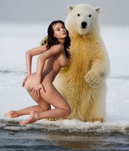 Create meme: polar bear, polar bear, The bear and virgin