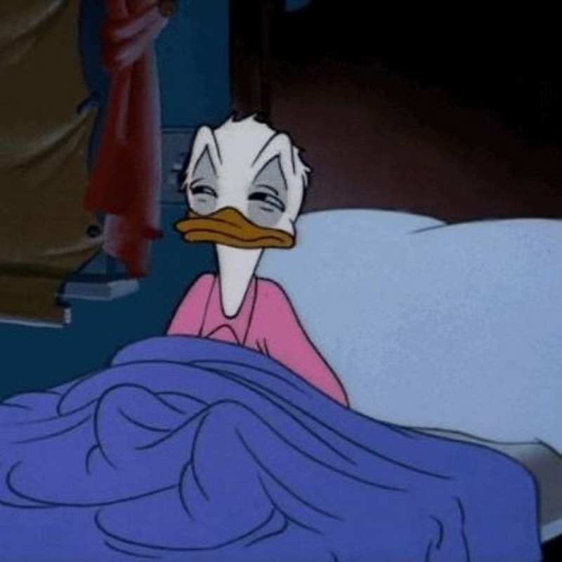 Create meme: the sleepy meme, Donald duck meme, Donald duck sleeping