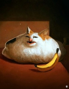 Создать мем: fat cat, толстый кот, Кошка