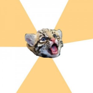 Create meme: cat, facebook roleplay ocelot