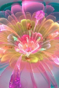 Создать мем: неоновые цветы, волшебные разноцветные цветы, красивые цветы