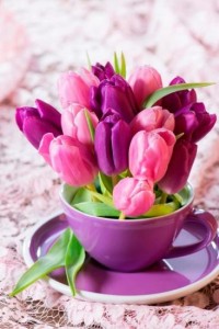 Create meme: flowers tulips, pink tulips