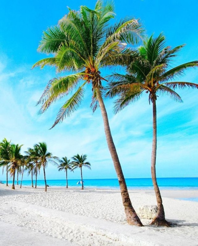 Создать мем: пальма на пляже, пляж, варадеро пляж