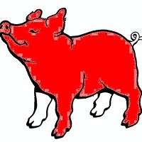 Create meme: pig contour, pig coloring book, The red pig