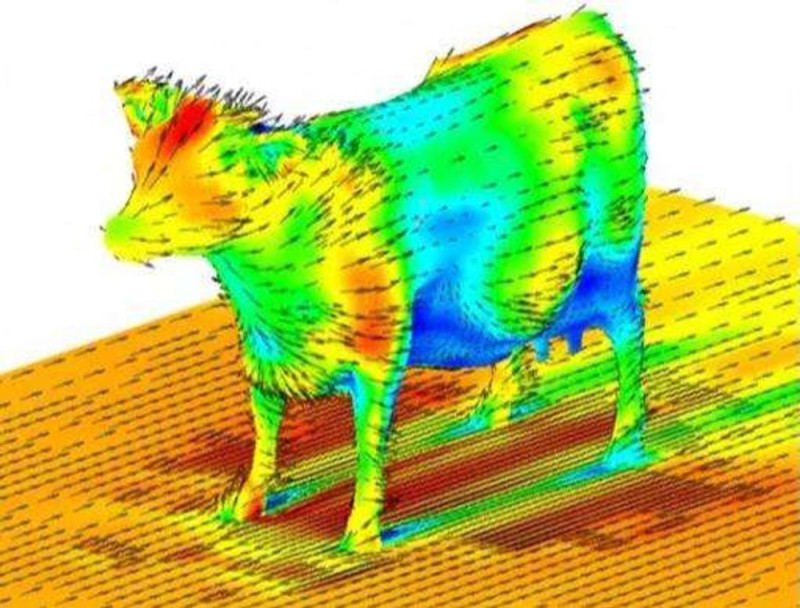 Create meme: cow aerodynamics, aerodynamic cow streamlining, gas dynamics