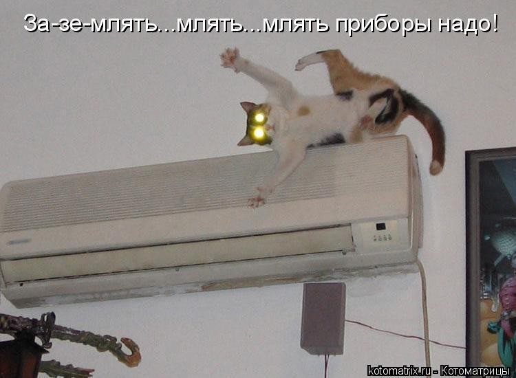 Create meme: the cat is under the air conditioner, cool air conditioner, katamatite 