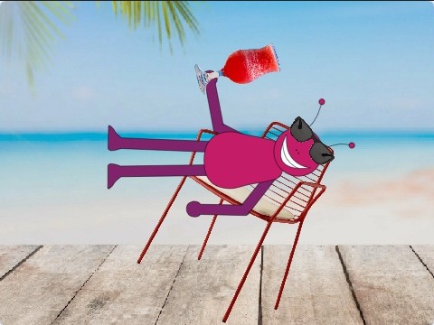 Create meme: the loungers on the beach, beach chair, tropical beach