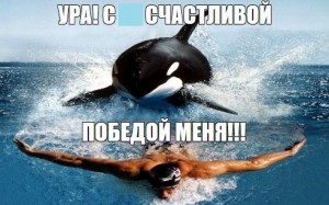 Создать мем: обои касатка прыгает из воды, картинки кита убийца, касатка