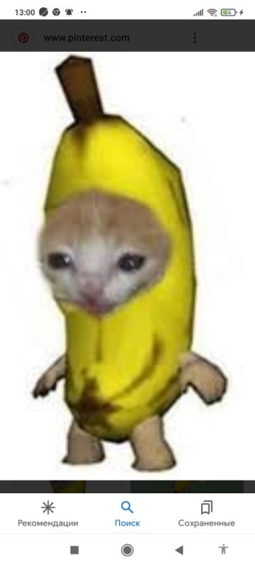 Создать мем: я банан, плачущий кот в костюме банана, banana