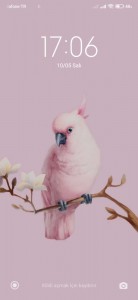 Создать мем: розовый попугай, попугай в розовых очках, розовый попугай картина