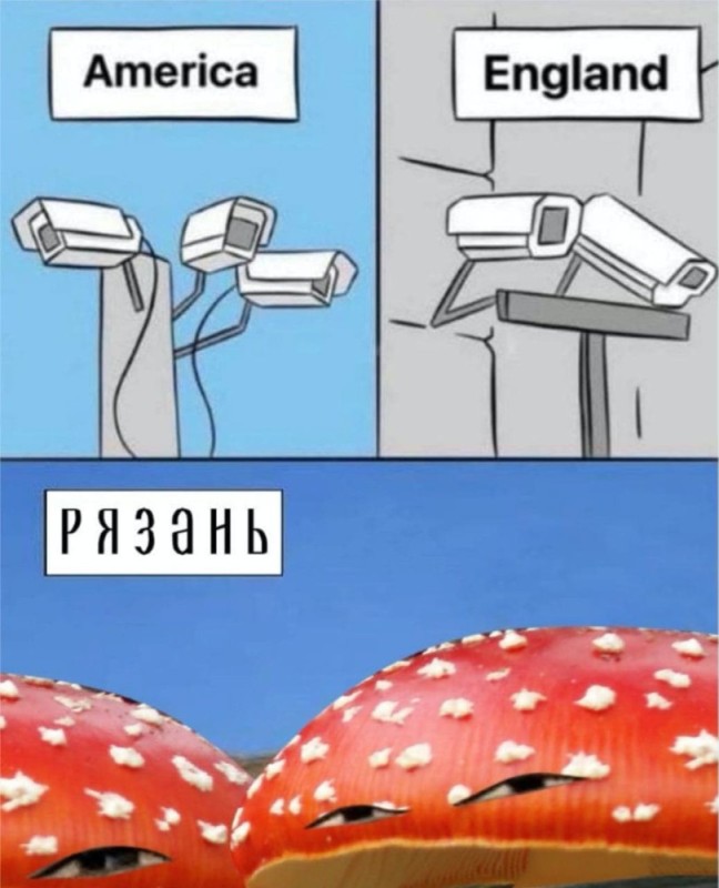 Create meme: memes , memes funny , fly agaric