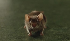Создать мем: маленькая мышка, мышка, зеленая миля мышонок мистер джинглс