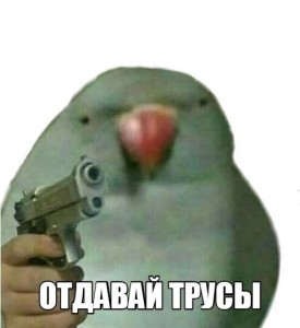 Создать мем: мем отдавай трусы попугай рисунок, попугай, попугай с пистолетом мем нарисованный