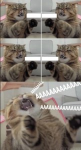 Создать мем: мемы, котики, кринжовый кот