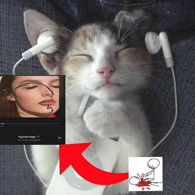 Create meme: cat , seals with headphones, The cat with headphones is sad