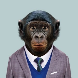 Создать мем: крутая обезьяна, обезьяна в костюме, обезьяна в смокинге