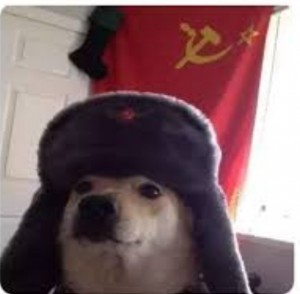 Создать мем: comrade doggo, котик в шапке ушанке, собака в ушанке