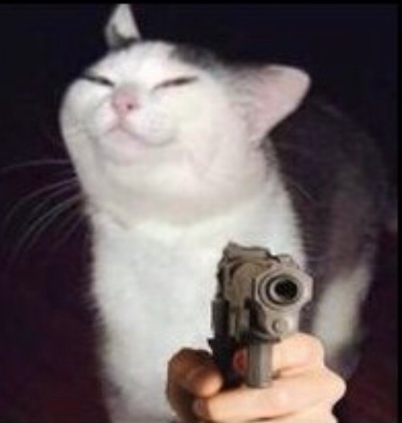 Create meme: the cat with a knife meme, cat with a gun, the cat with a knife