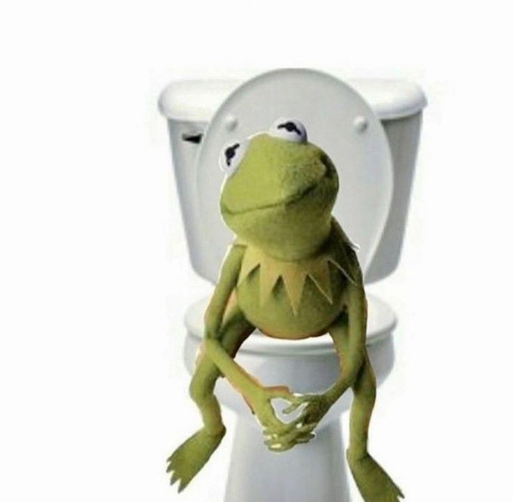 Create meme: Kermit the frog , frog Kermit sad, Kermit the frog